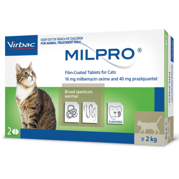 Milpro Dewormer Tablets - Cats above 2 kg (4 tablets)
